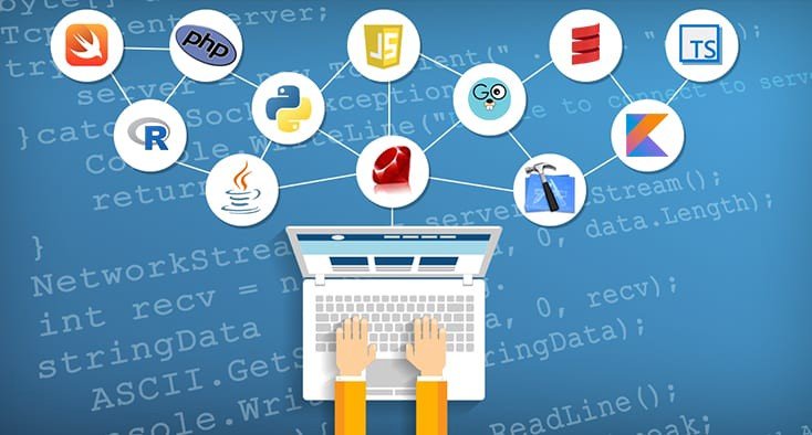 Profesyonel yazılım geliştirme hizmeti